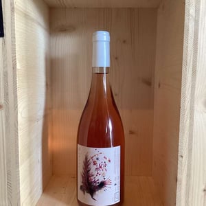 Bikini - Vignes De L'Atrie (CLOSED) - elise-hamant-closed