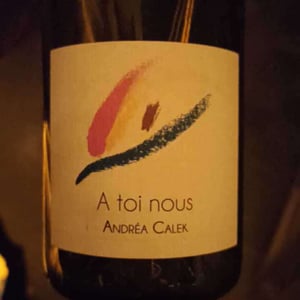 Andrea Calek - Andrea Calek et Stephana Nicolescu - A Toi Nous