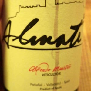 Almate - Bodegas y Viñedos Maestro Tejero - Alfredo Maestro Tejero 