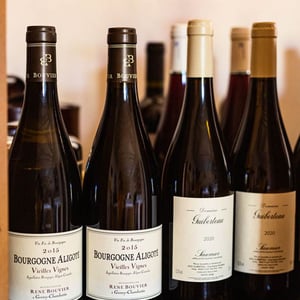 Saumur - Domaine Guiberteau - romain-guiberteau