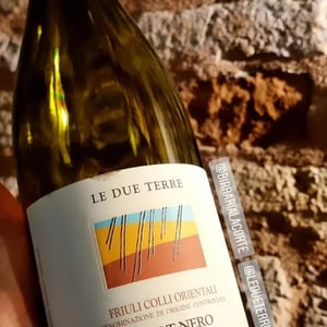 Pinot Nero - Le Due Terre - silvana-forte-flavio-e-cora-basilicata