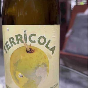 Terrícola - Celler Tomàs Torres - Vicent Tomas Soler 