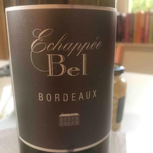 Echappée Bel Blanc - Château de Bel - Vins Olivier Cazenave - olivier-cazenave -2019