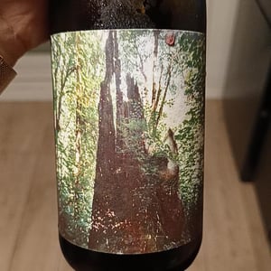 Echolocation - Dorsal Wines / Devin's Wine - devin-alexander