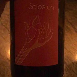 Éclosion - Laurent Herlin Vigneron - Laurent Herlin 