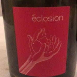 Éclosion - Laurent Herlin Vigneron - Laurent Herlin 