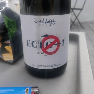 Ecto-1 - David Large - Célia Rostand et David Large 