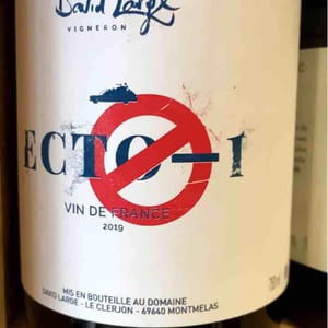 Ecto-1 - David Large - celia-rostand-et-david-large
