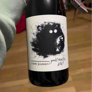 Gentil Monstre - Domaine Etienne Seignovert - etienne-seignovert
