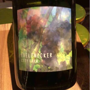 Edelzwicker City Farm - Fujimaru Brewery (Shimanouchi / Kiyosumi Shirakawa) - Satoshi Fujimaru -2020