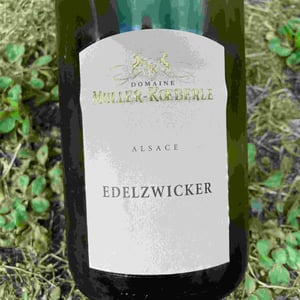 Edelzwicker - Domaine Muller-Koeberle - David Koeberle 