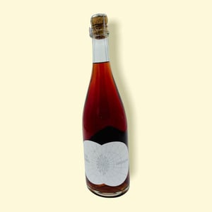 Überschäumend - Weingut Ploder Rosenberg - manuel-ploder-selina-weratschnig