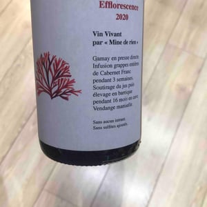 Efflorescence - Mine De Rien - Jean Derrien -2020