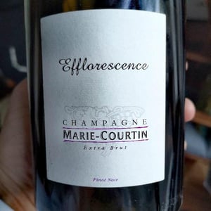 Efflorescence - Champagne Marie Courtin - dominique-moreau