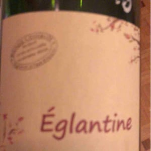 Églantine - Benoît Courault - Benoît Courault 