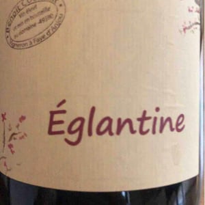 Églantine - Benoît Courault - Benoît Courault 