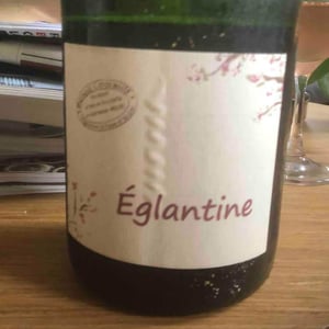 Églantine - Benoît Courault - Benoît Courault 