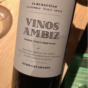 Vinos Ambiz - Fabio Bartolomei - El Burguillo