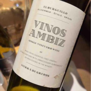 El Burguillo - Vinos Ambiz - Fabio Bartolomei 