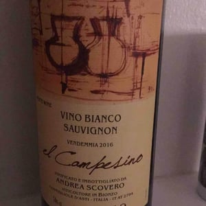 El Campesino - Bionzo - andrea-scovero