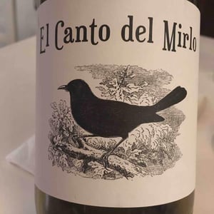 El Canto del Mirlo - Barranco Oscuro - manuel-lorenzo-valenzuela