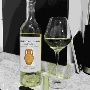 El Carro - Bodegas Bernabé Navarro SL - rafa-bernabe