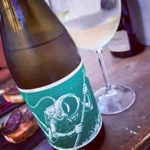 El Cosmonauta en el barranco de agua - El Mozo Wines - Bodegas Compañon Arrieta - el-mozo