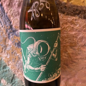 EL Cosmonauta Y El Viaje En El Tiempo - El Mozo Wines - Bodegas Compañon Arrieta - El Mozo 