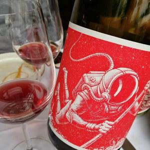 EL Cosmonauta Y El Viaje En El Tiempo - El Mozo Wines - Bodegas Compañon Arrieta - el-mozo