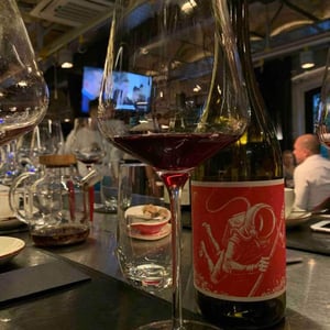 EL Cosmonauta Y El Viaje En El Tiempo - El Mozo Wines - Bodegas Compañon Arrieta - El Mozo 
