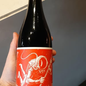 EL Cosmonauta Y El Viaje En El Tiempo - El Mozo Wines - Bodegas Compañon Arrieta - el-mozo