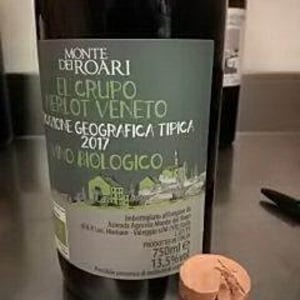 El Crupo - Monte Dei Roari - Alessia Bertaiola 