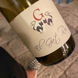 El Gat Ros - Azienda Agricola Gatti - Carolina Gatti 