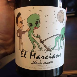 El Marciano - Bodegas y Viñedos Maestro Tejero - Alfredo Maestro Tejero 