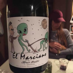 El Marciano - Bodegas y Viñedos Maestro Tejero - alfredo-maestro-tejero