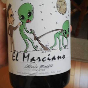 El Marciano - Bodegas y Viñedos Maestro Tejero - alfredo-maestro-tejero