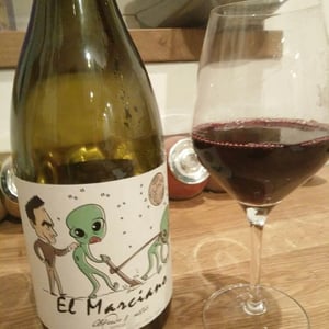 Bodegas y Viñedos Maestro Tejero - Alfredo Maestro Tejero - El Marciano