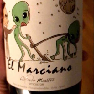 Bodegas y Viñedos Maestro Tejero - Alfredo Maestro Tejero - El Marciano