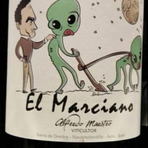 El Marciano - Bodegas y Viñedos Maestro Tejero - Alfredo Maestro Tejero 