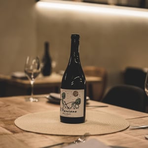 El Marciano - Bodegas y Viñedos Maestro Tejero - Alfredo Maestro Tejero 