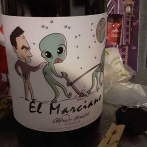 El Marciano - Bodegas y Viñedos Maestro Tejero - Alfredo Maestro Tejero 