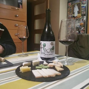 Bodegas y Viñedos Maestro Tejero - Alfredo Maestro Tejero - El Marciano