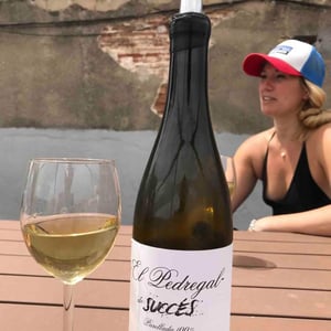 El Pedregal - Celler Succés Vinícola - Mariona Vendrell & Albert Canela 