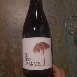 El Pino Granate - Barranco Oscuro - manuel-lorenzo-valenzuela -2009