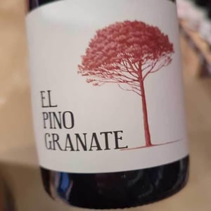 El Pino Granate - Barranco Oscuro - manuel-lorenzo-valenzuela -2009