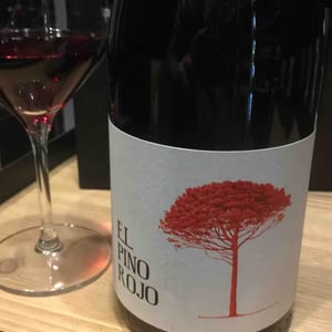 El Pino Rojo - Barranco Oscuro - manuel-lorenzo-valenzuela