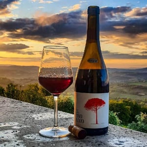 El Pino Rojo - Barranco Oscuro - manuel-lorenzo-valenzuela