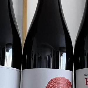 El Pino Rojo - Barranco Oscuro - manuel-lorenzo-valenzuela