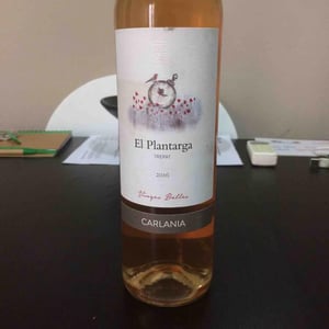 El Plantarga - Celler Jordi Miró - Jordi Miró 