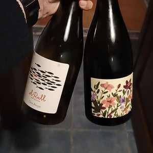 El Rall - Mas Pellisser - Oriol Artigas -2019